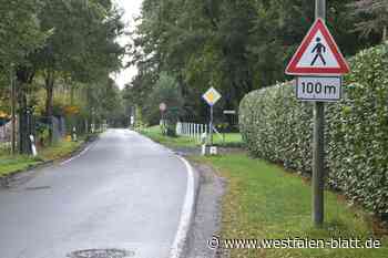 Haustenbecker Straße in Schlangen ohne Fuß- und Radweg