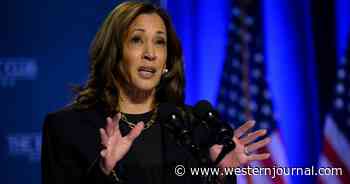 Kamala Harris' Border Visit Backfires Before She Even Arrives - Border Patrol Union Releases Statement