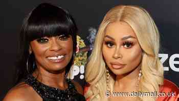 Blac Chyna's mom Tokyo Toni says SHE beat up reality star's ex-boyfriend Twin Hector and not daughter - amid domestic violence lawsuit