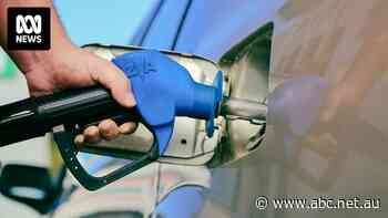 Petrol price cycles are dictating how much many drivers pay at the bowser. Here's how to beat the system