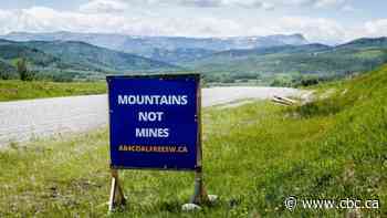 Alberta Energy Regulator to hold Rocky Mountain coal hearings despite legal challenge