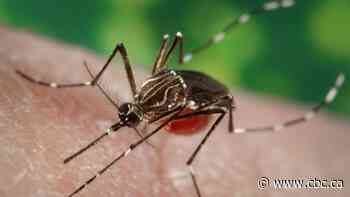 Health unit warns of ongoing risk of West Nile virus in Windsor-Essex