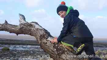 Sapling from felled Sycamore Gap tree to be planted in memory of 12-year-old schoolboy who planned to visit the iconic tree before he died of cancer