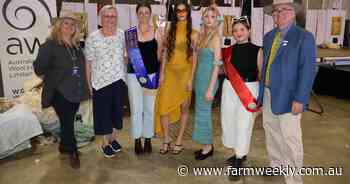 Wool fashion parades had models spinning around on the boards at the show