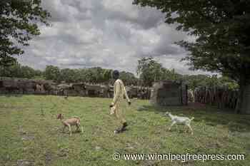 Money Gambians send home from Europe is a lifeline for their families but the sacrifices take a toll