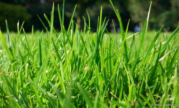 Gras groeit niet vanzelf - melkveehouders help mee dat te bewijzen