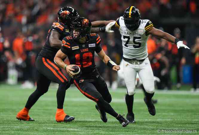 Tiger-Cats claw out 32-29 win over Lions in overtime