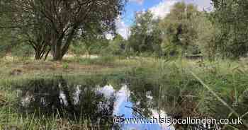 Wetlands restored after thefts of filter equipment