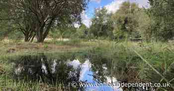 Wetlands restored after thefts of filter equipment