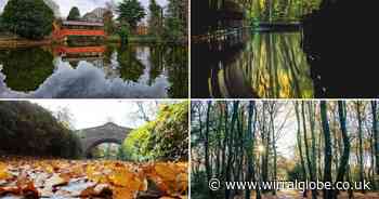 15 places to enjoy an autumnal walk in Wirral this weekend