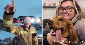 Woman leaves TV on for dog to go to shops - minutes later firefighters are at her door