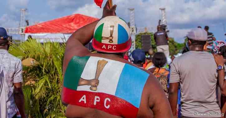 APC’s unity, organised structure enhancing its credibility among voters