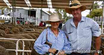 Faces throughout the week of Jerilderie Merino ram sales