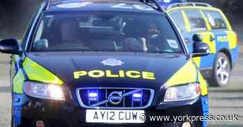 Two York motorists banned by magistrates