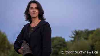 'Imagine a world without their song': Toronto photographer wins international award for picture of 4,000 dead birds