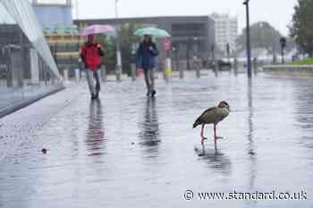 Weather warnings as strong winds and heavy rain on way days after flooding