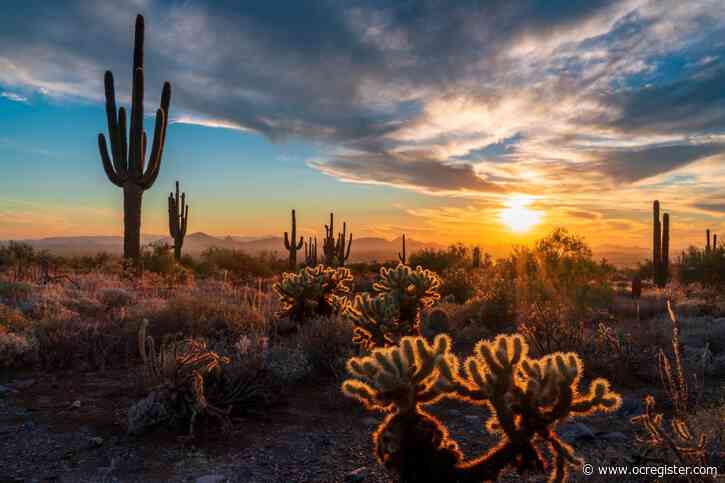 What can the desert Southwest teach us about commercial real estate?