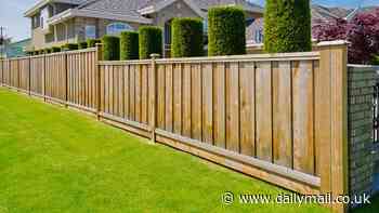 I'm a landscape gardener... there is an easy way to get privacy from annoying neighbours - and it is NOT a fence