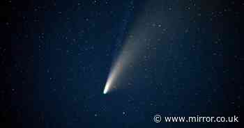 Exact date bright comet dubbed 'best of the year' will be visible to naked eye