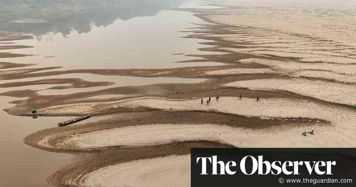 Brazil’s ‘Paradise’ on fire: ‘The forest is burning. Animals are burning. Everything’s burning’