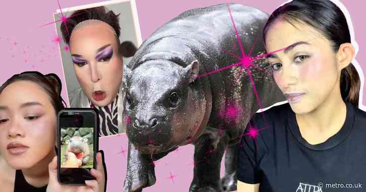 What is the Moo Deng beauty trend? Why everyone wants to be rose-cheeked hippo