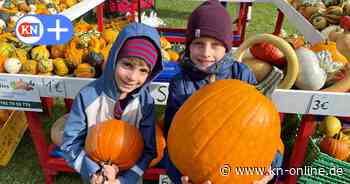 Herbstmarkt im Freilichtmuseum Molfsee: Auftakt mit vielen Besuchern