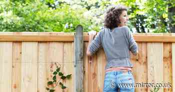 'I'm a landscape gardener - there is an easy way to get privacy but it is not a fence'