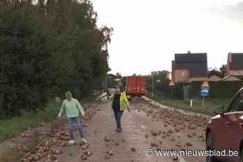 Vrachtwagen verliest lading bieten