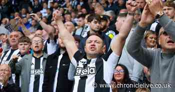 In pictures: Newcastle fans at St James' Park during gripping 1-1 draw with Manchester City