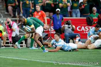 South Africa cruise to Rugby Championship title after inflicting revenge on Argentina