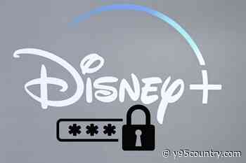 Disney+ Is Cracking Down on Shared Passwords