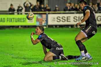 Young Welsh fly-half stars as Ospreys repeat South African heroics