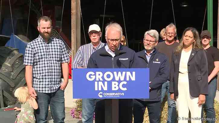 BC Conservatives farming plan seeks to ‘get rid of red tape’ says Rustad during campaign stop in Abbotsford