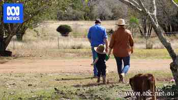 Melanie's cattle property is the centre of her world, but she's worried about what she'll soon see from her front gate