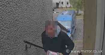 Brazen thief caught on camera 'swiping parcel from home' in broad daylight