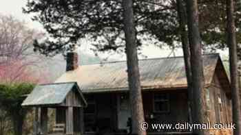 Enterprising young couple buy adorable fixer-upper cabin situated in 10 acres of peaceful national forest for very reasonable price