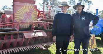 Henty celebrates 100 years of the Sunshine auto header