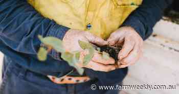 How can we help? New project aims to help sustain Wheatbelt farming