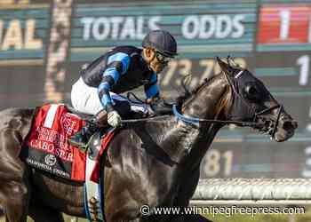 Subsanador wins $1 million California Crown over Baffert-trained duo at Santa Anita