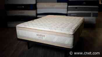 Best Mattresses for Sciatica for 2024