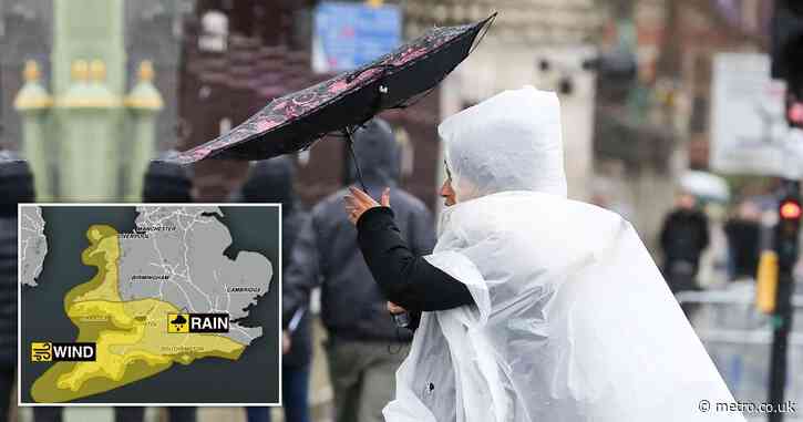 Yellow weather warning double-whammy with 80mm rain and 60mph wind expected