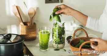 Prevent spinach wilting 'for a month' by storing it with common kitchen item