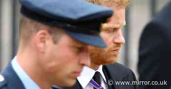 Prince William's hidden tribute to brother Harry in emotional royal video