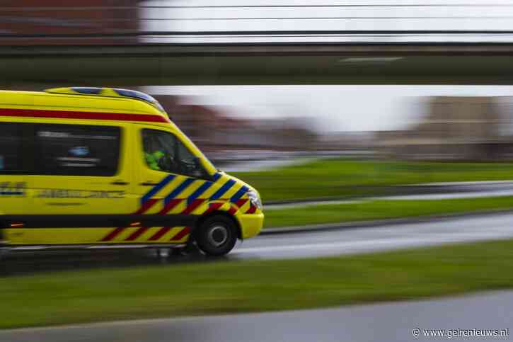 Auto botst tegen koets, paard overleeft het niet