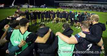 Uncapped talents shine on barnstorming night in front of Gatland and Howley