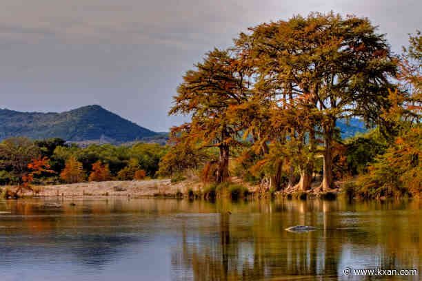 Keeping our state beautiful with fall native plants