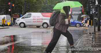 Two new Met Office weather warnings issued on Sunday, September 29, as 60mph winds and rain hit