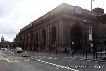 Thief stole necklace containing ashes of victim's grandfather from train at Newcastle Central Station