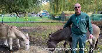 Walton Hall Children's zoo brightened up by new wooden animals