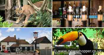 Inside the community gem Kent pub that's also a thriving zoo for rescued animals